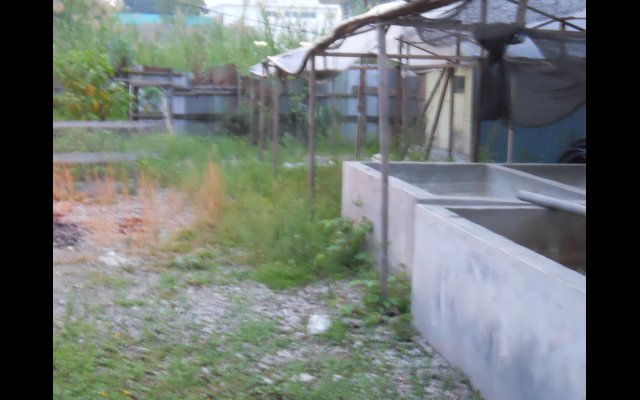 pusat lindungan kasih